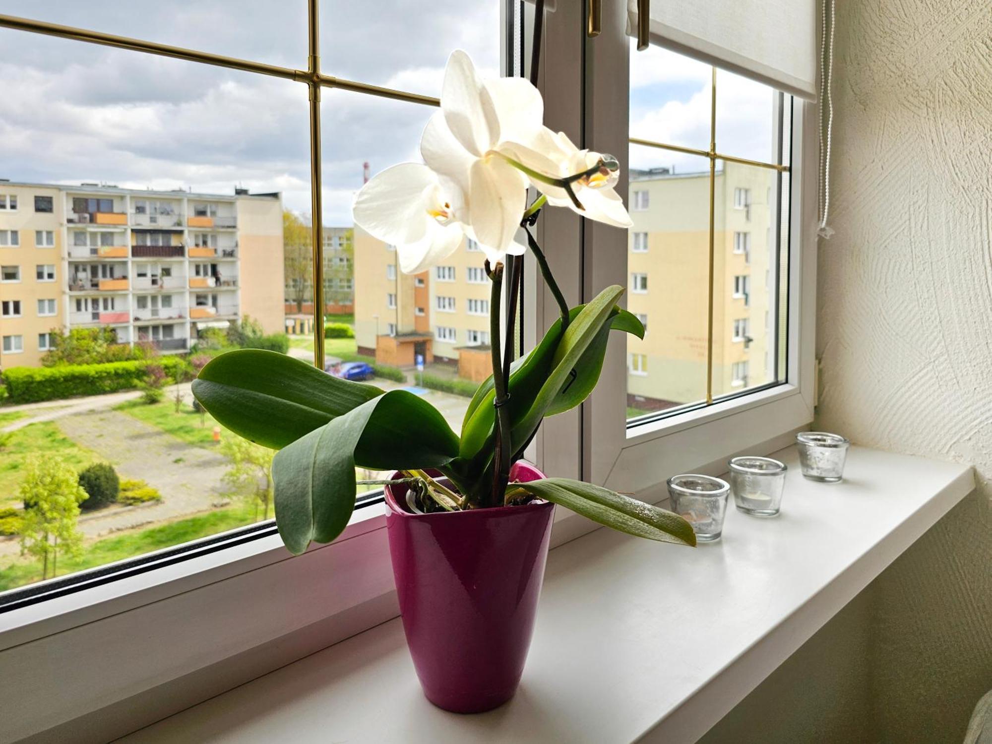 Visit Baltic - Apartament Sunny سفينويتشي المظهر الخارجي الصورة